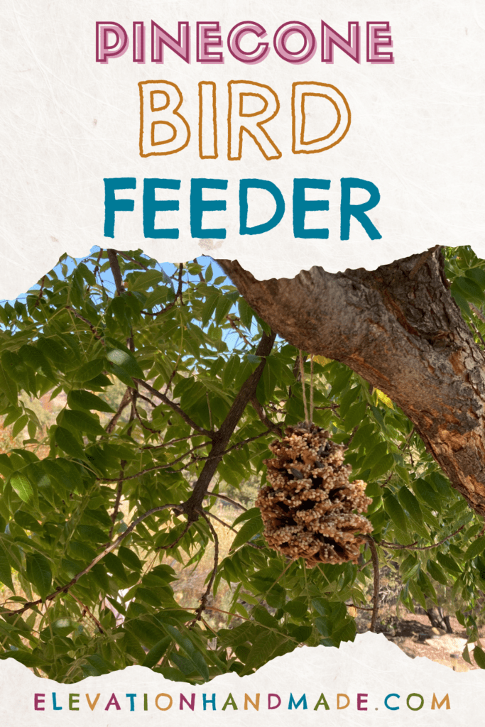 pinecone bird feeder hanging in a tree 