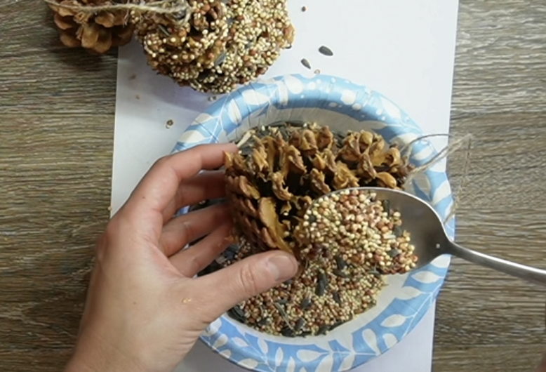 sprinkle birdseed onto the pinecone